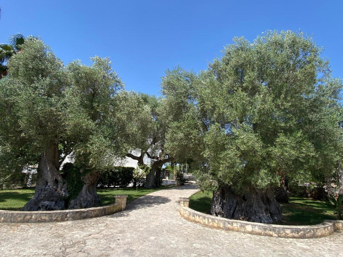 Citta Bianca Country Resort Ostuni Exterior foto