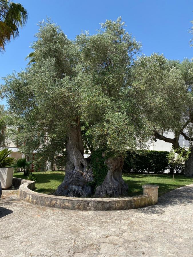 Citta Bianca Country Resort Ostuni Exterior foto