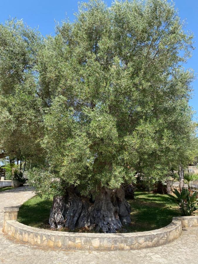 Citta Bianca Country Resort Ostuni Exterior foto